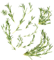 abundant rosemary sprigs displaying their verdant green needles exuding natural fragrance ideal for culinary and aromatic projects in food and wellness themes