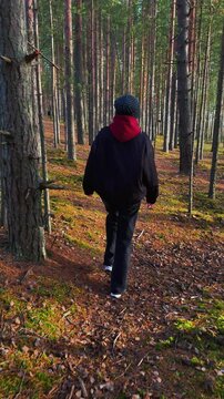 Medium shot of a woman with a dark jacket and beanie walking on a mossy hill through a pine forest during a golden hour sunset, with warm natural light filtering through the tall trees