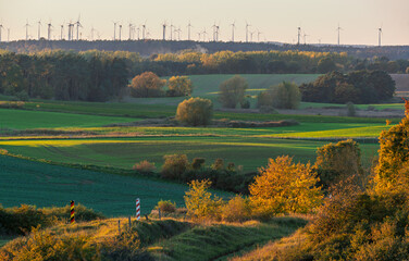 Border posts on the Polish-German border blend into the beautiful autumn landscape of Brandenburg.