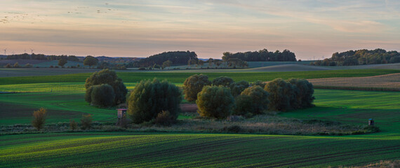 Intensely green fields contrasting with the autumn colors of trees in Brandenburg, Germany