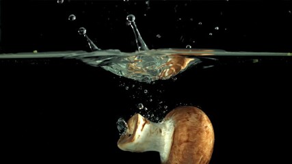 Mushrooms fall under water. Filmed on a high-speed camera at 1000 fps. High quality FullHD footage - Powered by Adobe