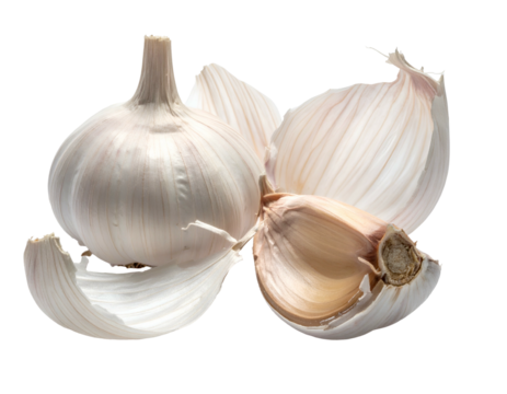 White garlic bulb, partly peeled, cloves visible, on a transparent background