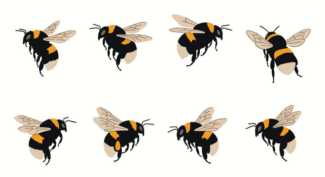Flying bumblebees in various positions against a white background.