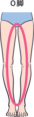 若い女性の脚（O脚）補助線あり