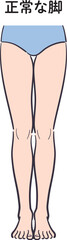 若い女性の脚（正常）