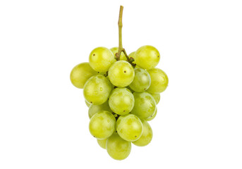 Isolated cluster of fresh green seedless grapes, a healthy and delicious sweet fruit
