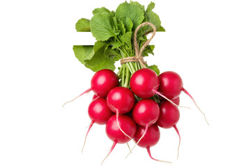 Isolated Bunch of Red Radishes with Greens and String, Fresh Raw Garden Vegetable