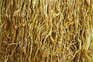 Straw or dry grass, texture, close-up