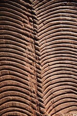 Antique wooden piece with carving