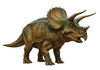 Fototapeta premium Isolated Triceratops with horns, beak, frill, and armor, in front view ready to attack