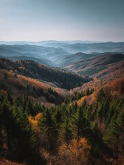 Scenic vista of autumn forest valley in mountains under blue sky aerial view of nature landscape with colorful trees