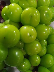 “Light Green Shine Muscat Grapes on the Vine”
