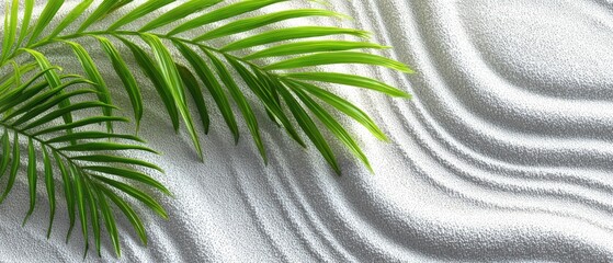 Palm Fronds on White Sand Texture Overhead Shot Minimalist Zen Garden Concept Spa Wellness Backdrop
