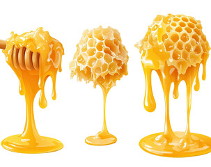 Dripping honeycombs, viscous liquid; wooden dipper holding honey
