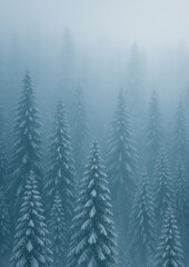 Fototapeta premium Misty forest with snow-covered trees.