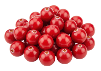 Isolated pile of cranberries, small shiny dark red berries, a healthy food, ingredient