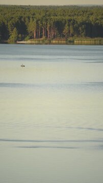 The bank of the Dnieper river, forest and motor boat, calm water.