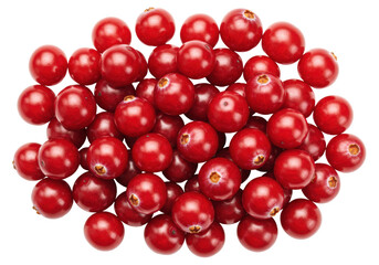 Isolated cranberries, delicious red fruit, ingredient for a fresh, healthy, natural diet