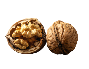 A cracked open nut next to its whole counterpart on a stark black background