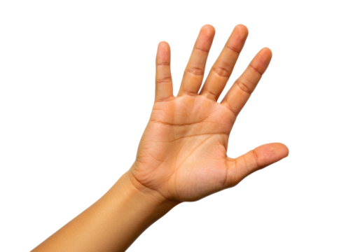 Isolated human hand with fingers spread out, hand waving or displaying number five gesture
