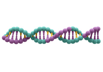 Obraz premium Isolated structure of DNA molecule with blue and purple spheres and orange connectors, helix