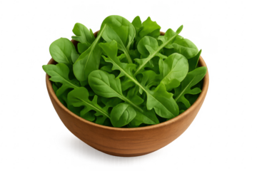 Arugula rocket salad greens in wooden bowl