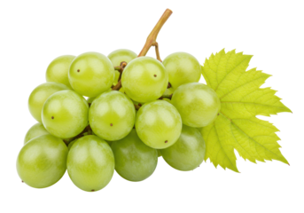 Isolated bunch of green grapes with leaf, fresh fruit for healthy eating and snack time