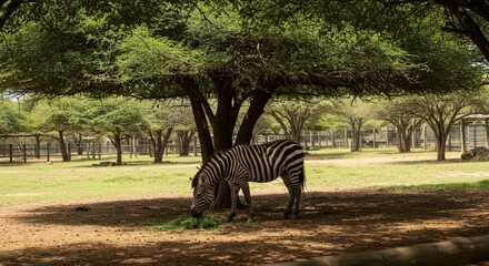 Weekend at the Urban Zoo