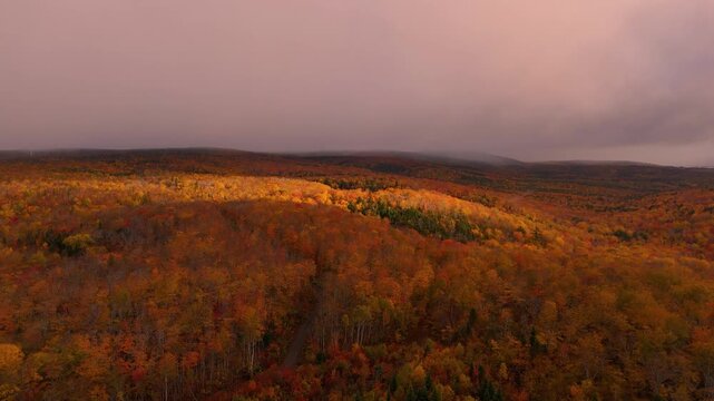 Fall Foliage Forest Colors Flyover