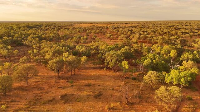Australia's timeless outback in the late afternoon