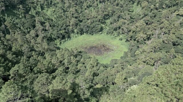 Mauritius - Trou aux Cerfs - Ascending view on the crater, dry season