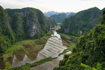 Green karst peaks rise around a winding river through a lush valley of rice paddies in ninh binh, vietnam, reflecting sky and clouds on a tranquil, scenic landscape © Fotografia Juan Reig