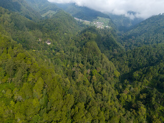 Aerial panoramic view of lush green mountain forest under daylight.