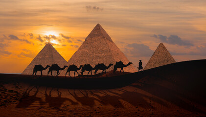 Camel caravan in front of the Great pyramid of Giza complex at amazing sunset - Cairo, Egypt