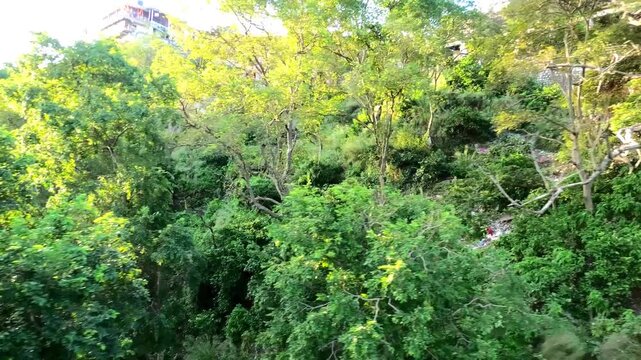 The beautiful nature seen on the ropeway ride from Chandi Devi Temple, Haridwar, Uttarakhand, India