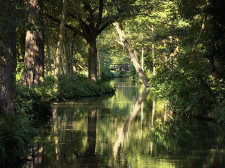 Spreewald