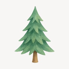Obraz premium Watercolor evergreen tree illustration.