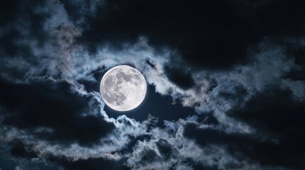 phase. A detailed closeup of the full moon, showcasing its textured surface against the dark expanse of space. STEM education sheets.