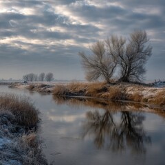 Fototapeta premium Winter river landscape with frosted trees reflecting in water under cloudy sky in rural countryside at golden hour