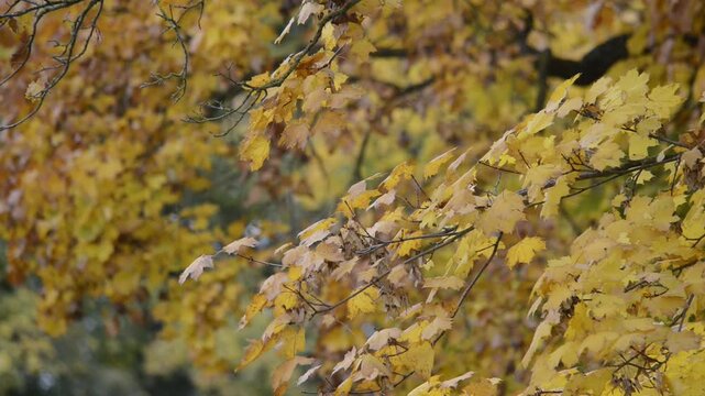 Der Herbst beginnt