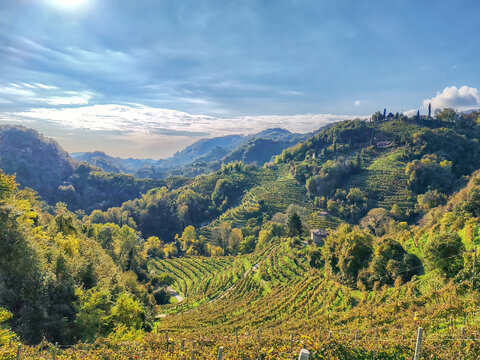 Colline del Prosecco