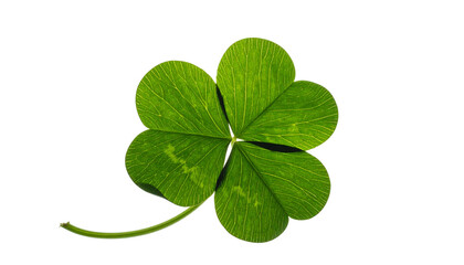 Four-leaf clover pair bundle in vibrant and natural tones, isolated on transparent background