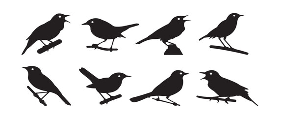 nightingale silhouettes vector 