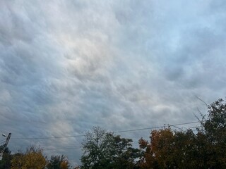 Obraz premium Beautiful Vivid Sky Painted by the Sun Leaving Bright Golden