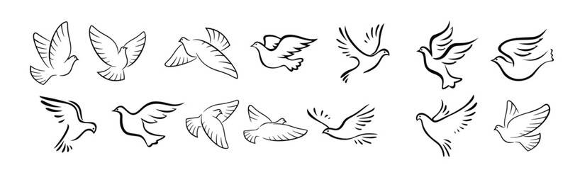 pigeon and dove birds silhouettes 