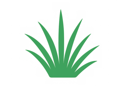 Green grass tuft vector image, illustrating nature, gardening, and eco-friendly growth concept on transparent background - Powered by Adobe