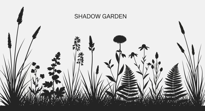 Silhouette d'un jardin d'ombre avec diverses plantes et herbes, cr&eacute;ant une sc&egrave;ne naturelle et paisible.