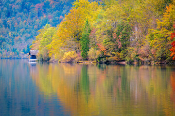 Lake Bohinj bathed in autumn magic. The kingdom of the golden-horned ibex.