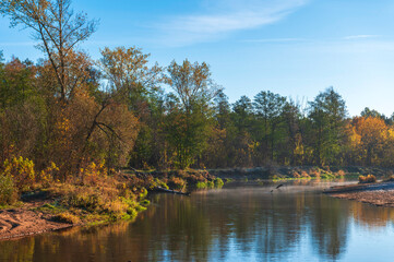 Obraz premium Autumn Morning on the Liwiec River Bank – Golden Trees and Mist Over Water
