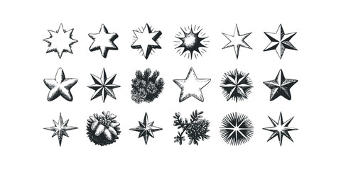 Collection of Hand Drawn Star Shapes and Floral Elements